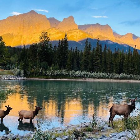 Unit #201 Cozy Mountain View 1Br In Dt Lägenhet Canmore Exteriör bild